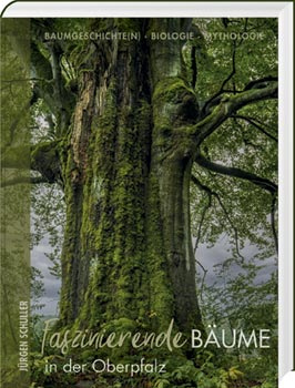 Faszinierende Bäume in der Oberpfalz - Cover