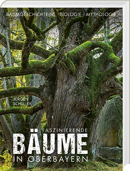 Faszinierende Bäume in Oberbayern - Cover
